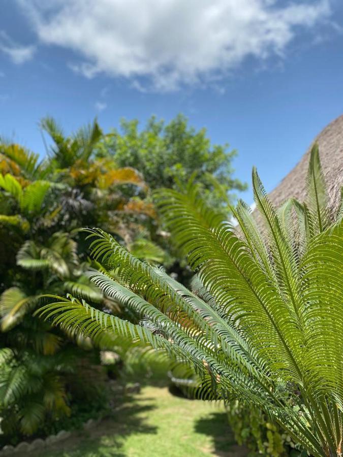 Pousada Porto Mar Sao Miguel dos Milagres Ngoại thất bức ảnh